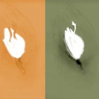 duck-in-layers.jpg