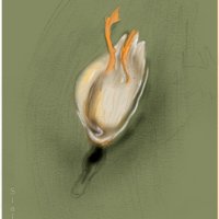 duck-still-layered.jpg