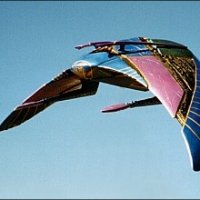 Death glider.jpg