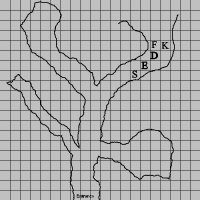 cave.jpg