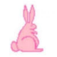 pinkbunny.jpg