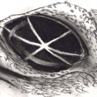 eye.jpg