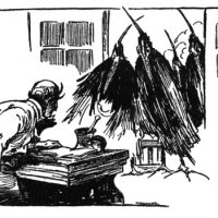illus23.jpg