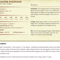 solifugidmedium.png