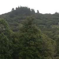 IMG_20211231_103054.jpg
