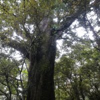 IMG_20211231_101653.jpg