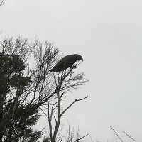 IMG_20211231_100755.jpg