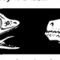 1641483877737.png