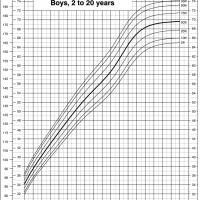 height-2-20-boys.png