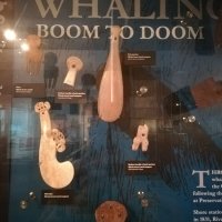 IMG_20220121_145728.jpg