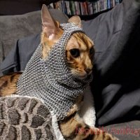 TobinDax.jpg