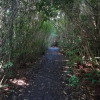 IMG_20220207_102744.jpg