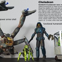 cheladean-shells.jpg