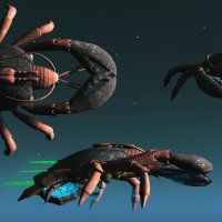 robber-crab-ship.jpg