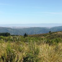 IMG_20220220_095735.jpg