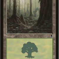 Forest1.jpg