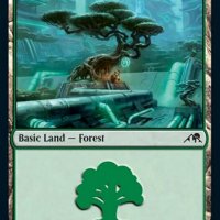 Forest3.JPG
