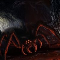 spider.jpg