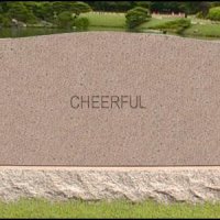 cheerful.jpg