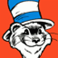 ferretsmmir.GIF