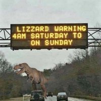 LizzardWarning (1).jpg