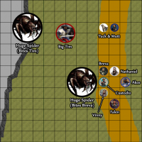 Spiders_round one update.png