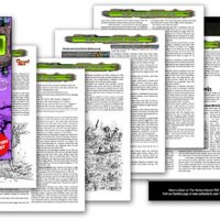 Monday-Mutants-17-Skullgut-The-Mutant-Epoch-RPG-Sheets-8inch-web.jpg