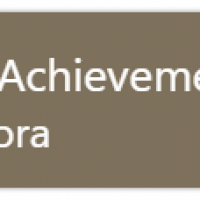 achievement_2.png