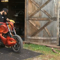 1657032302277.png
