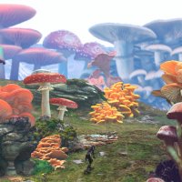 Mushroom Forest - Raphael Benjamin.jpg