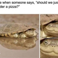 1659548927367.png
