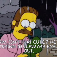 flanders-gremlin.gif