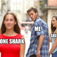 shark.jpg