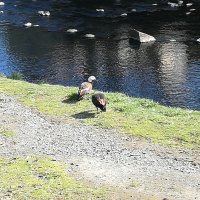 IMG_20220918_135041.jpg