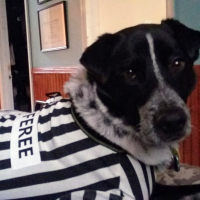 jax rufferee.png