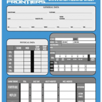 SFNG character sheet.png