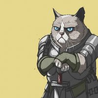 cat-warrior-wallpaper-preview.jpg