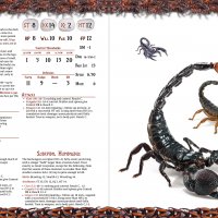 Bugstiary Scorpion spread.jpg