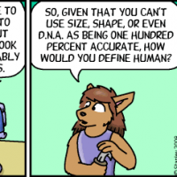 1667954446150.png