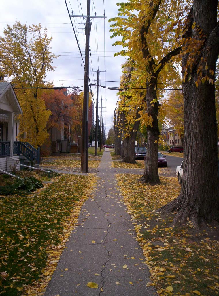000_0036.jpg