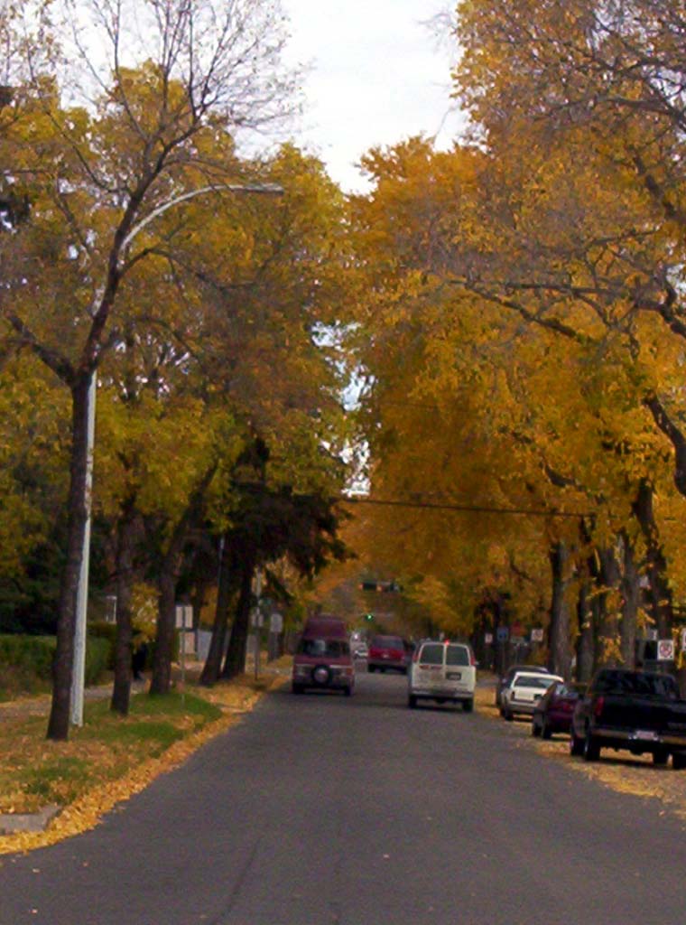 000_0037.jpg