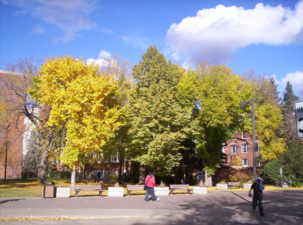 000_0073.jpg