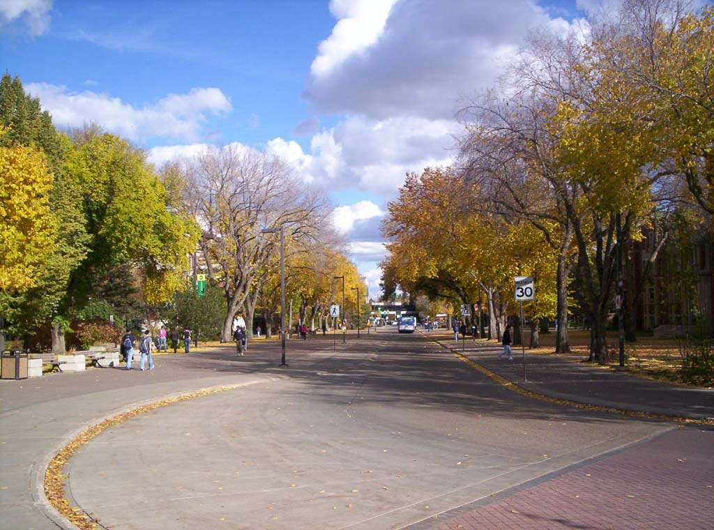 000_0075.jpg