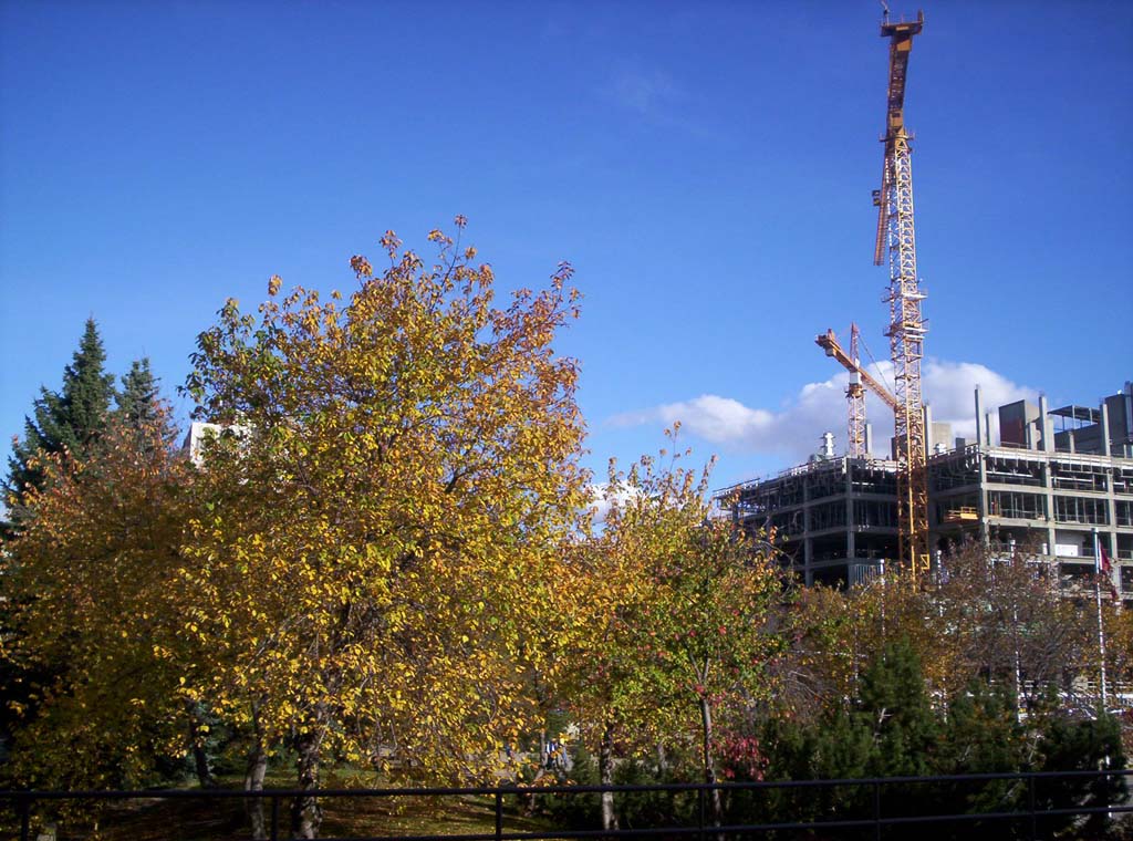 000_0086.jpg