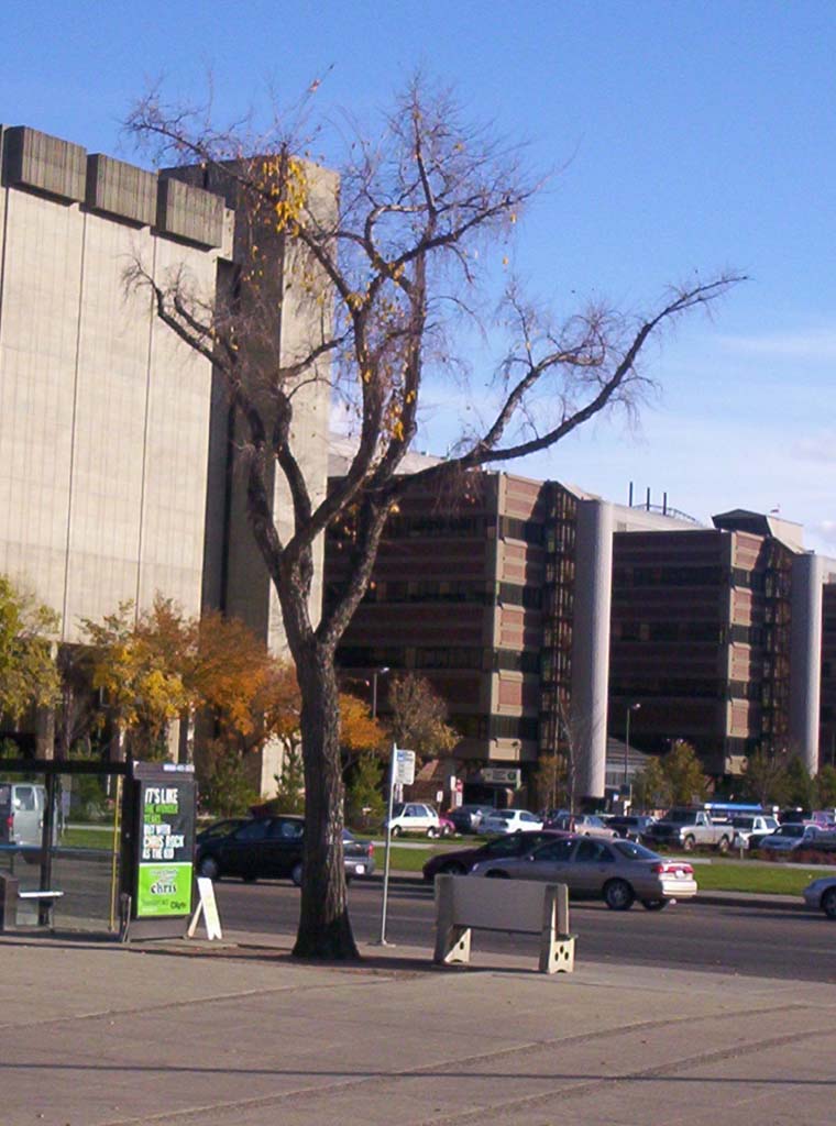 000_0087.jpg