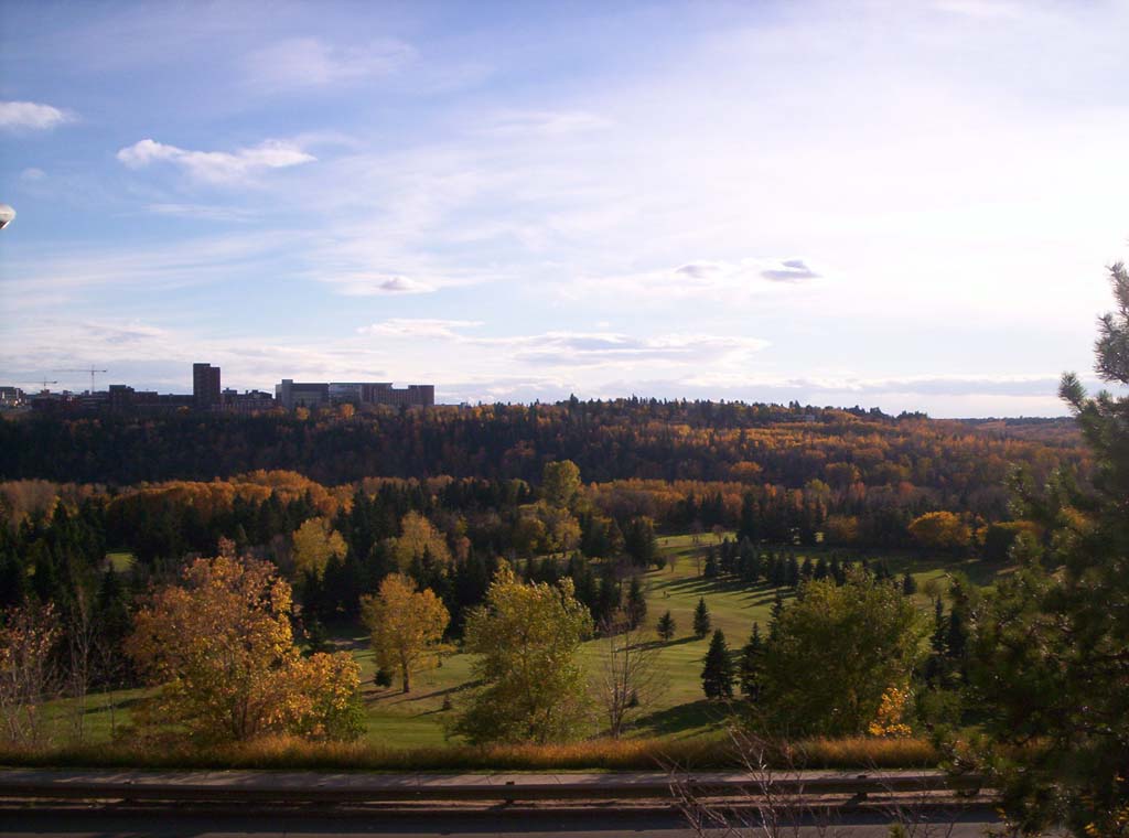 000_0095.jpg
