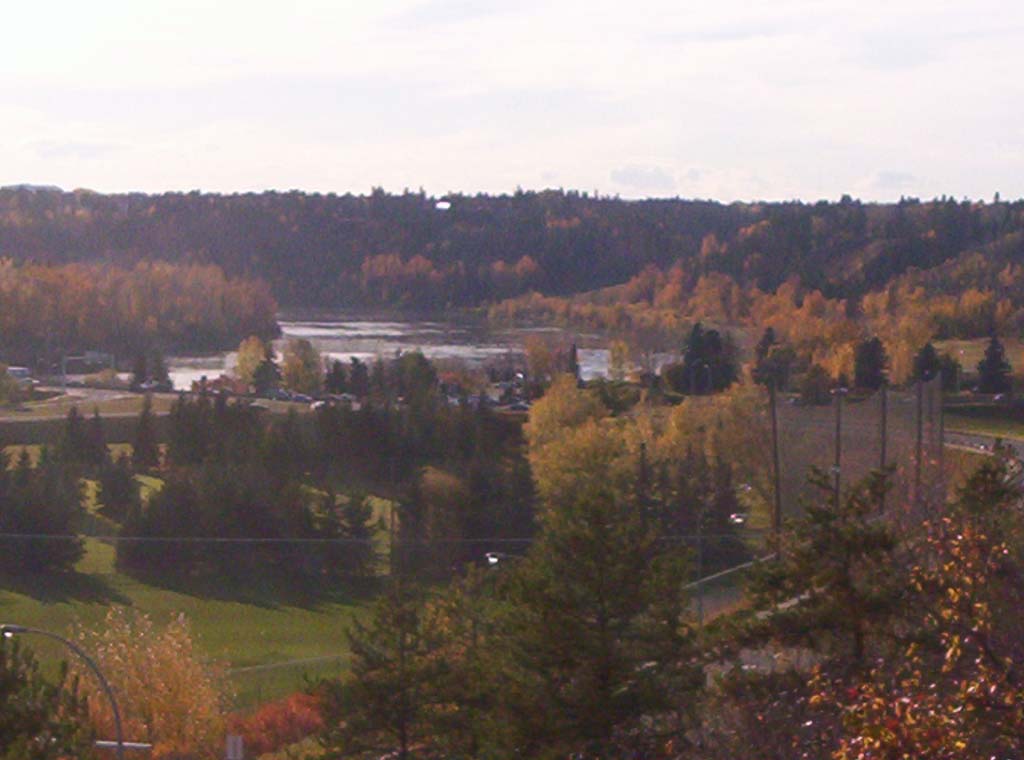 000_0097.jpg