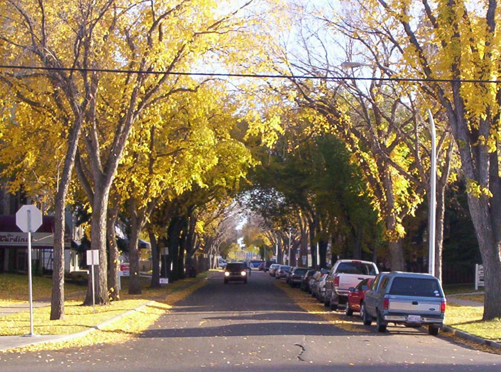 000_0106.jpg