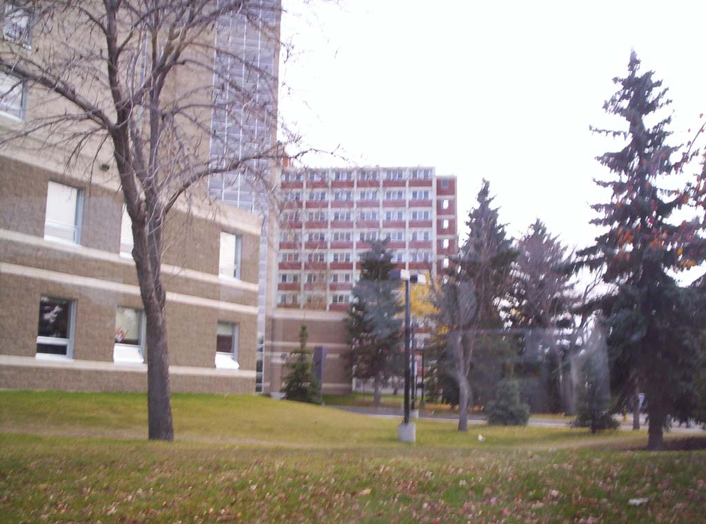 000_0137.jpg