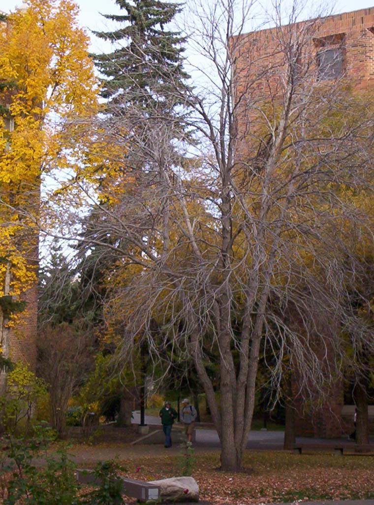 000_0146.jpg